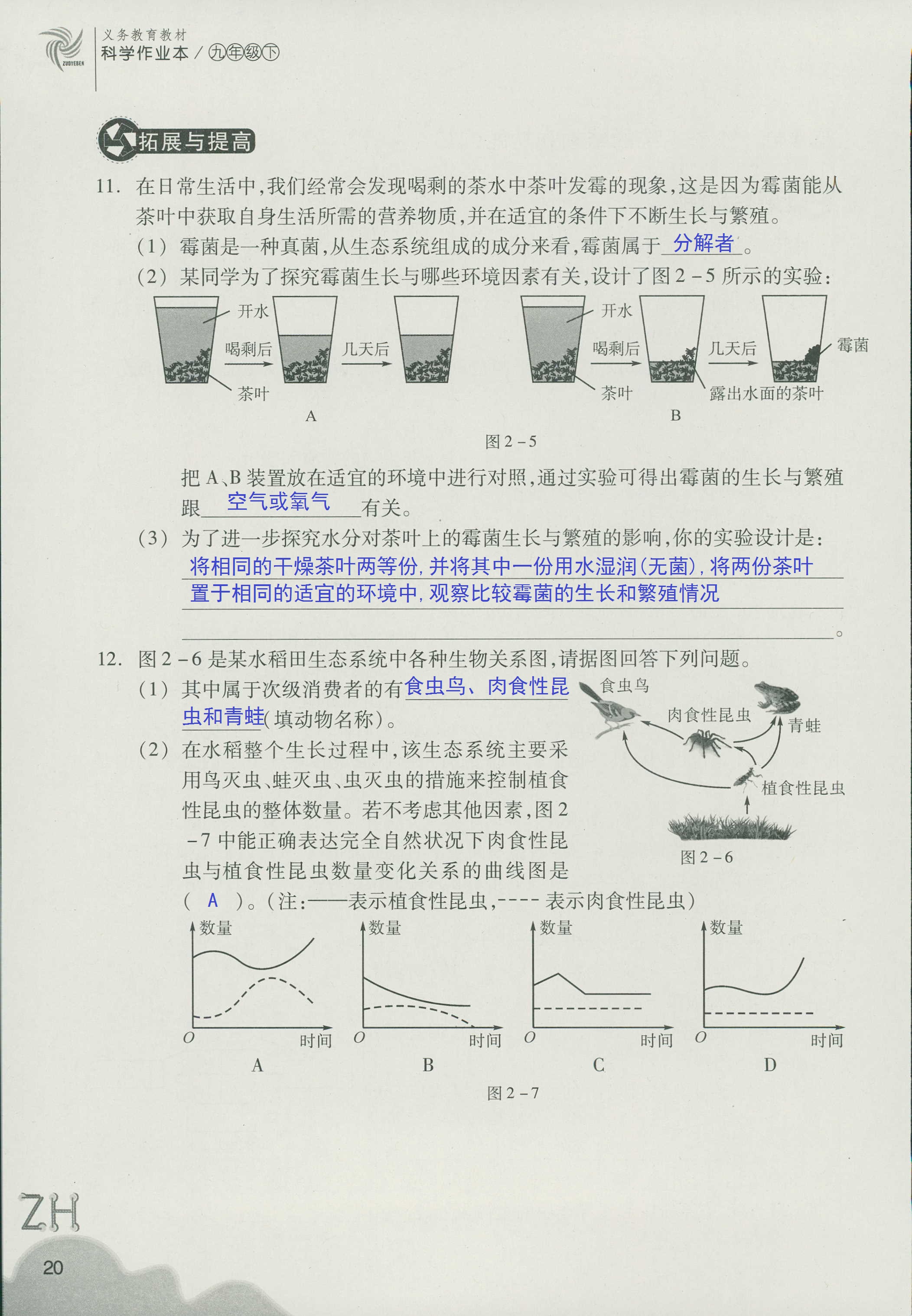 作业本A 第20页