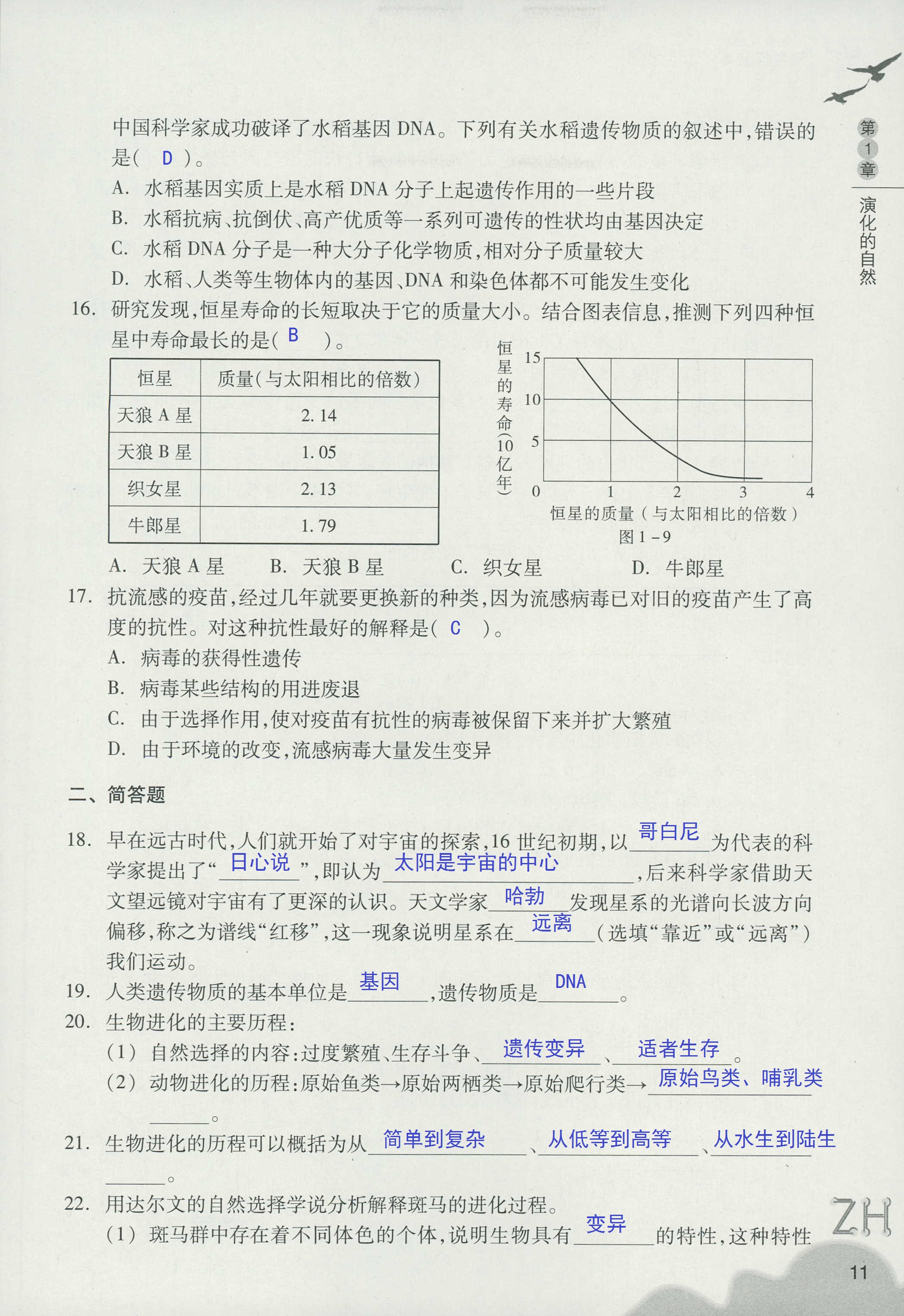 作業(yè)本A 第11頁