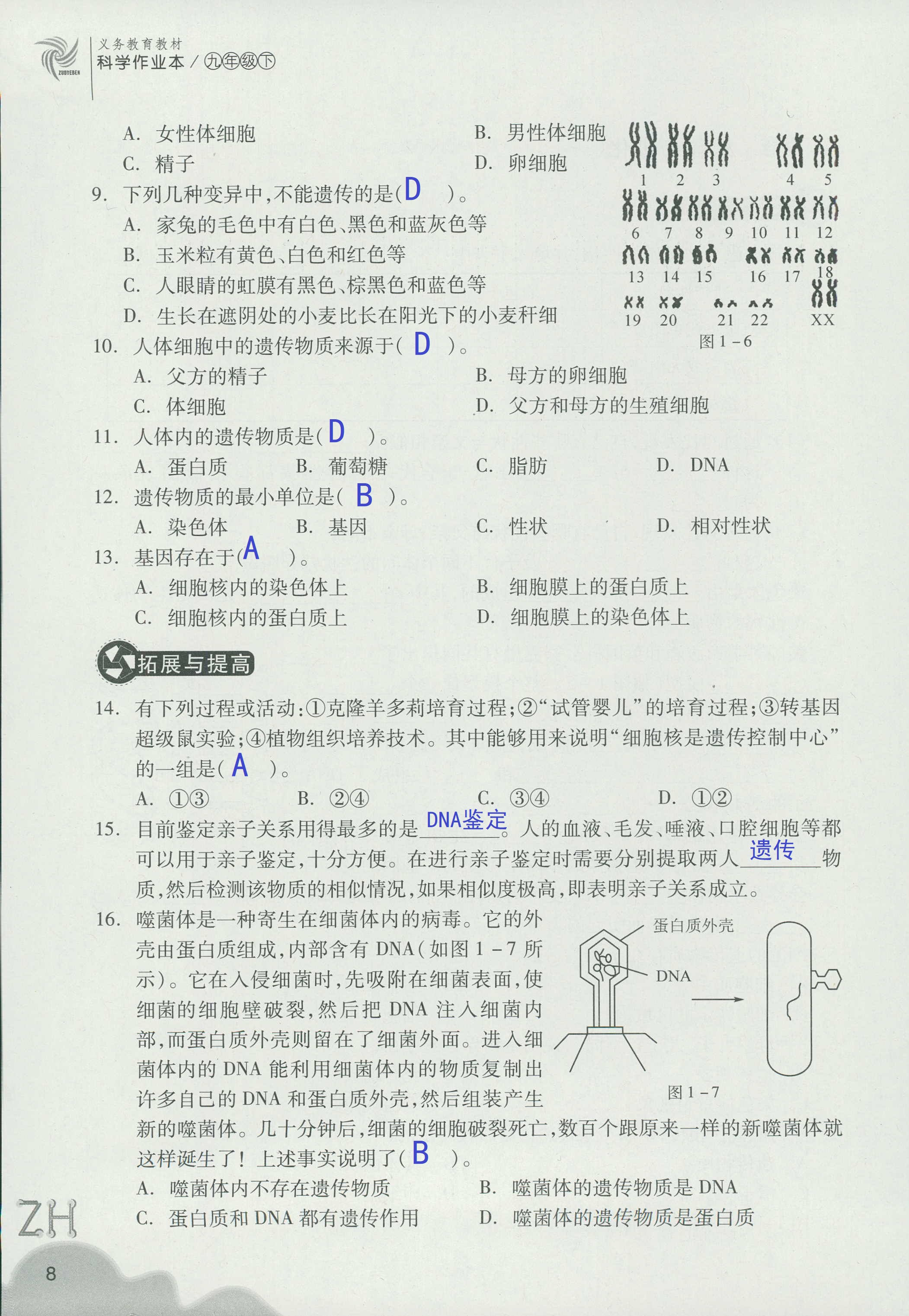 作業(yè)本A 第8頁