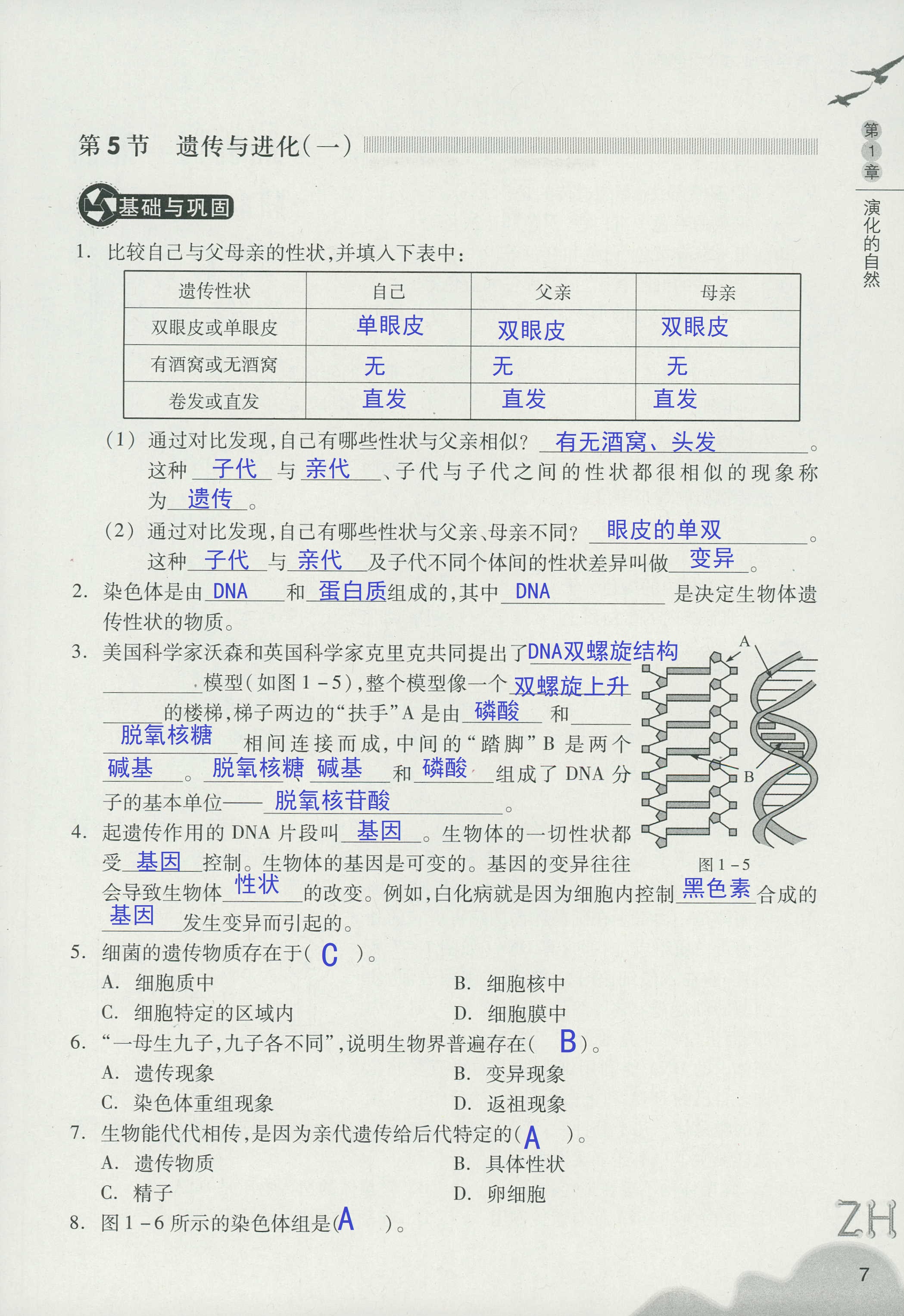 作业本A 第7页