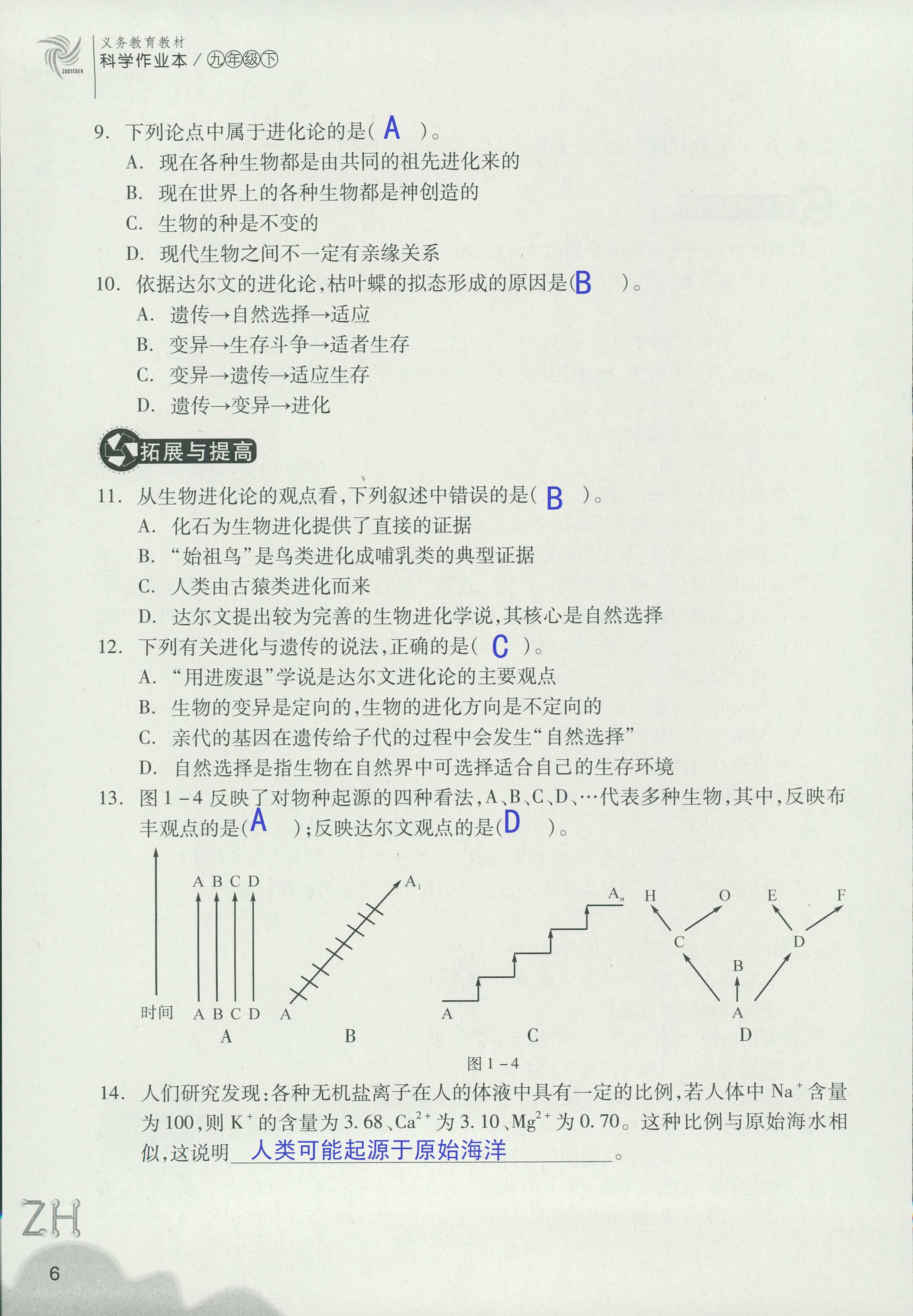 作业本A 第6页