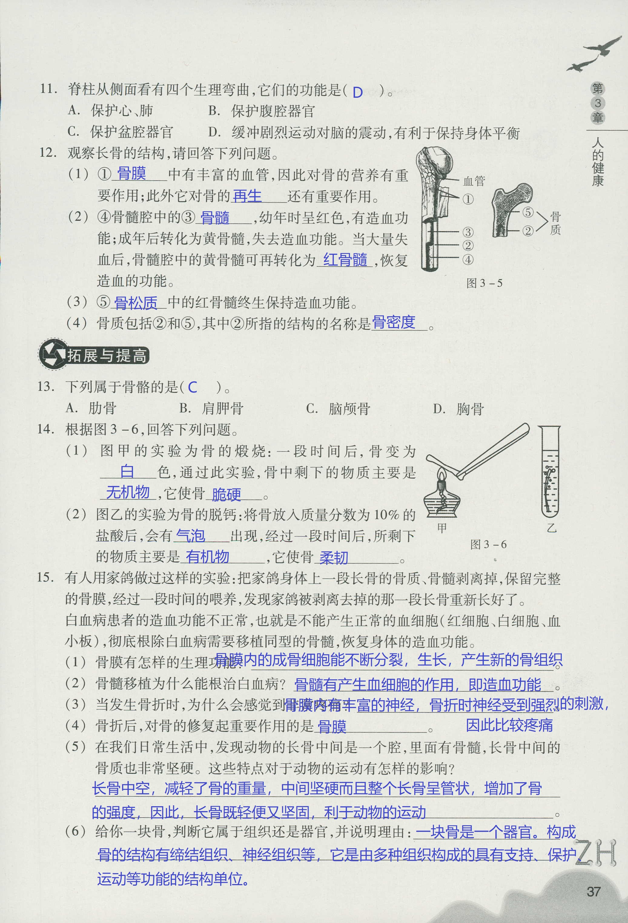 作業(yè)本A 第37頁(yè)