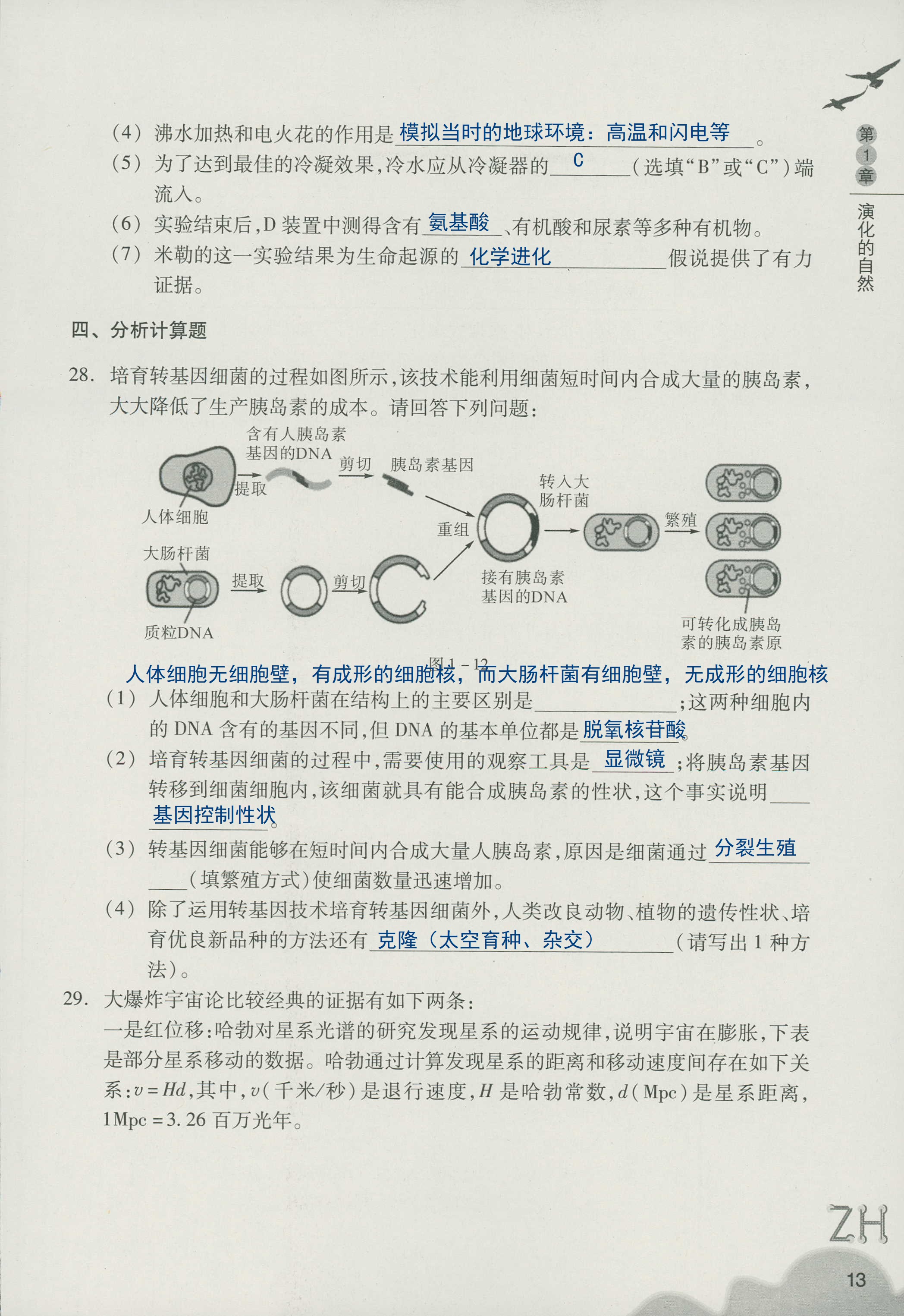 作业本A 第13页