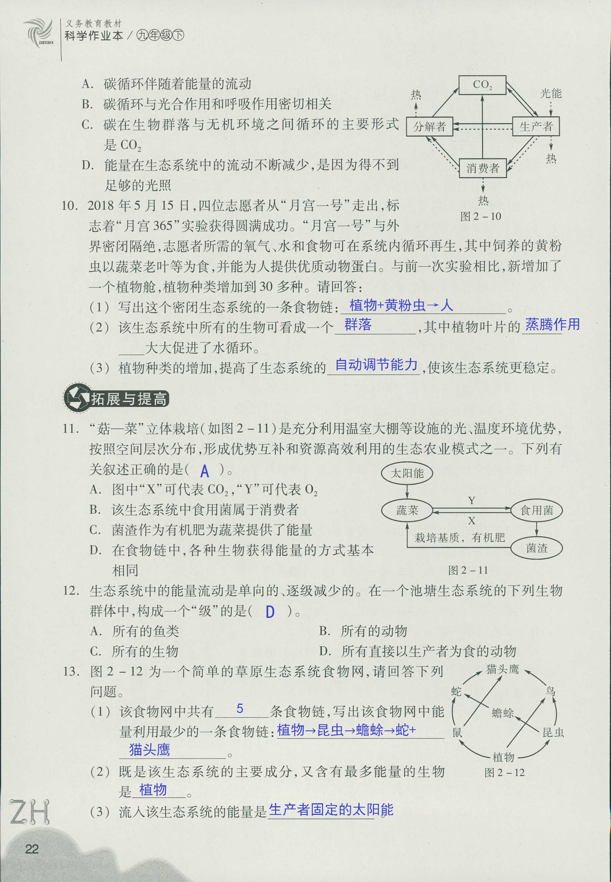 作业本A 第22页