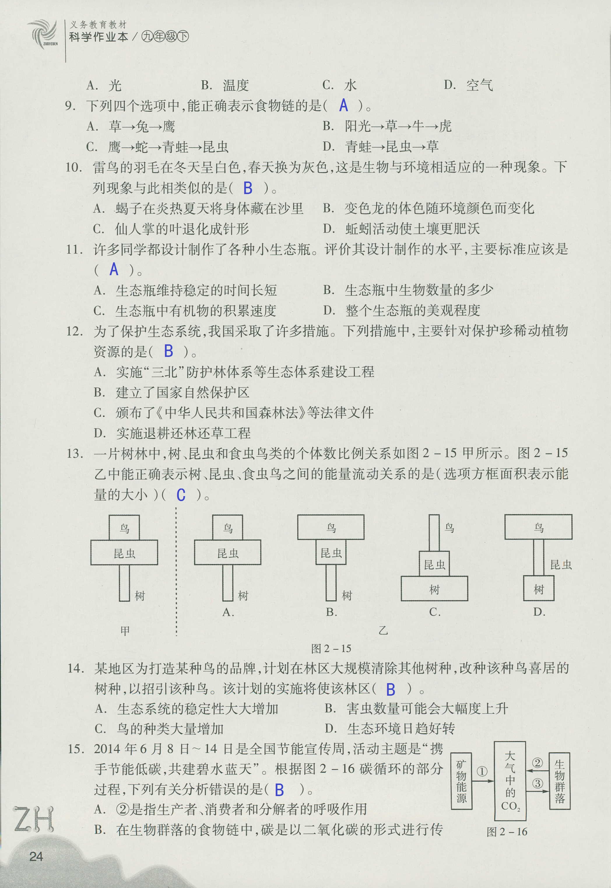 作业本A 第24页