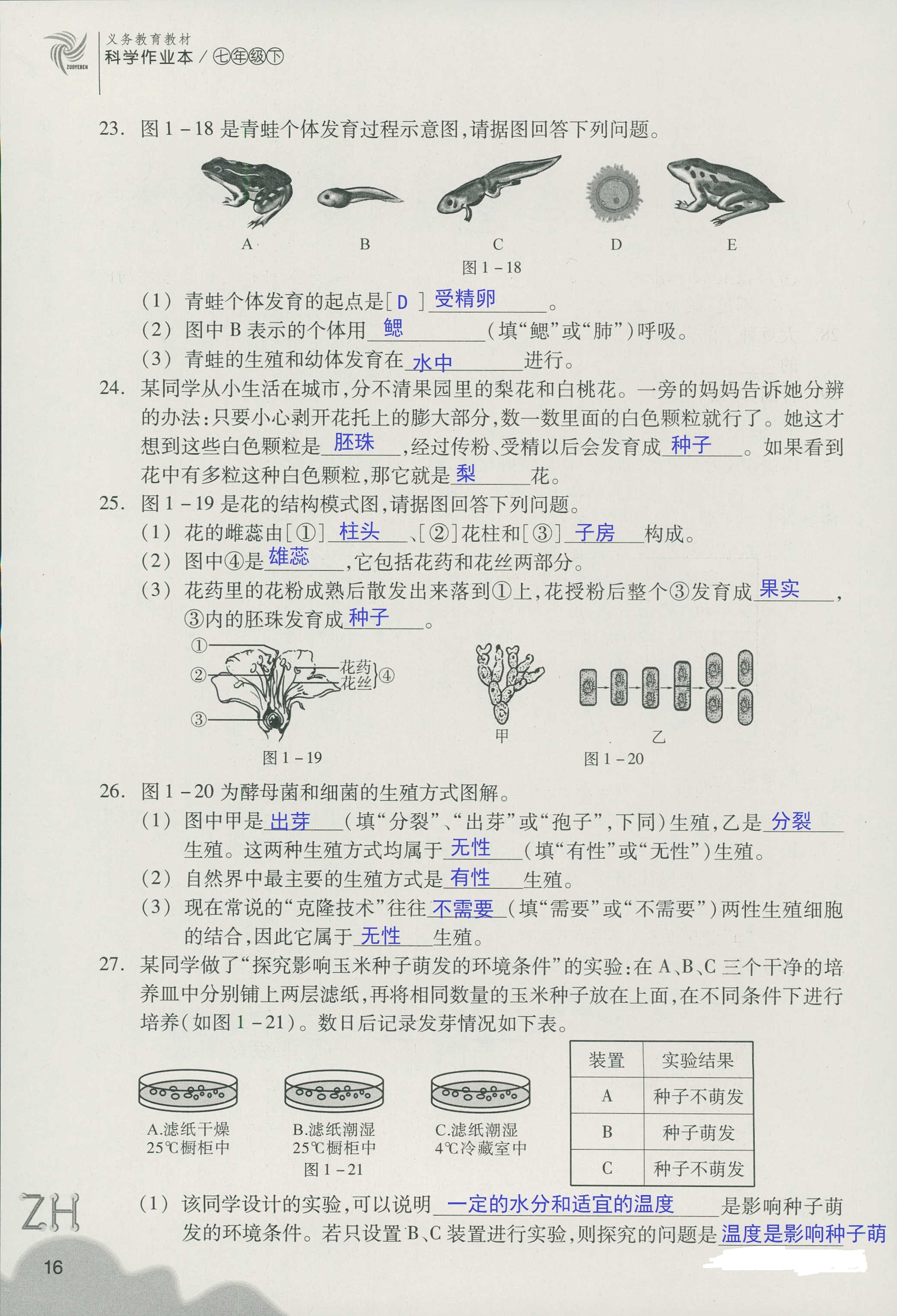 作業(yè)本B 第16頁