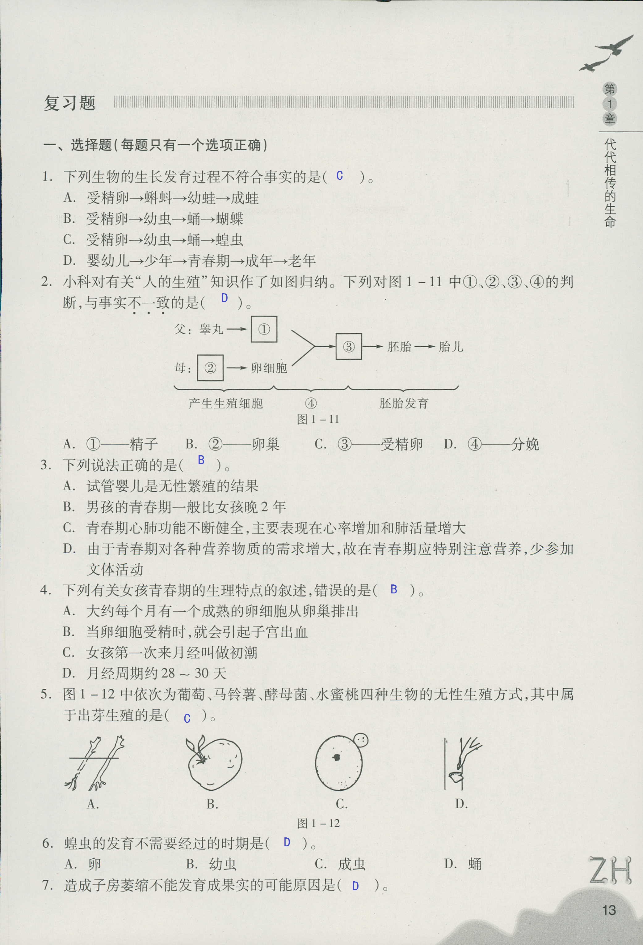 作业本B 第13页