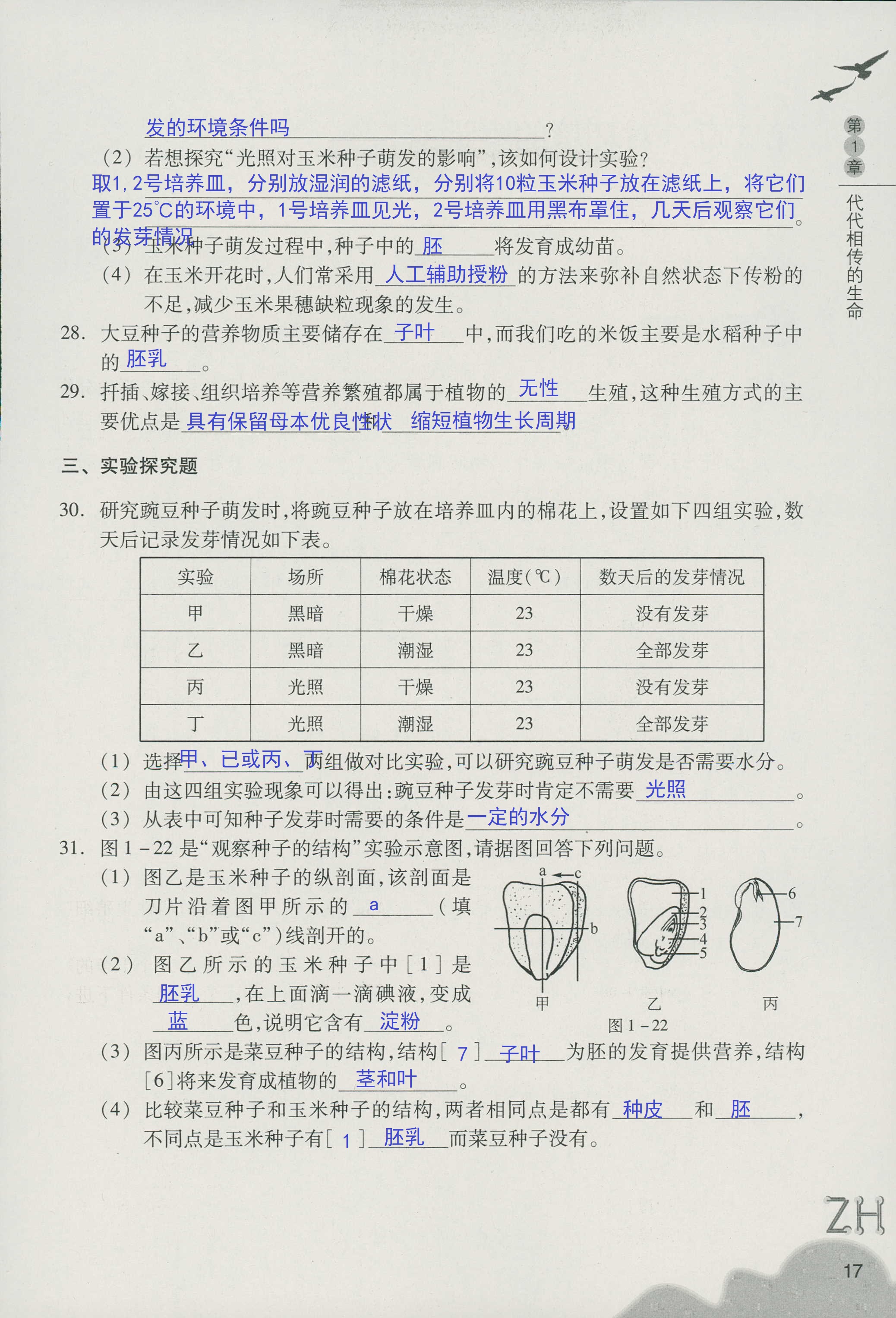 作业本B 第17页