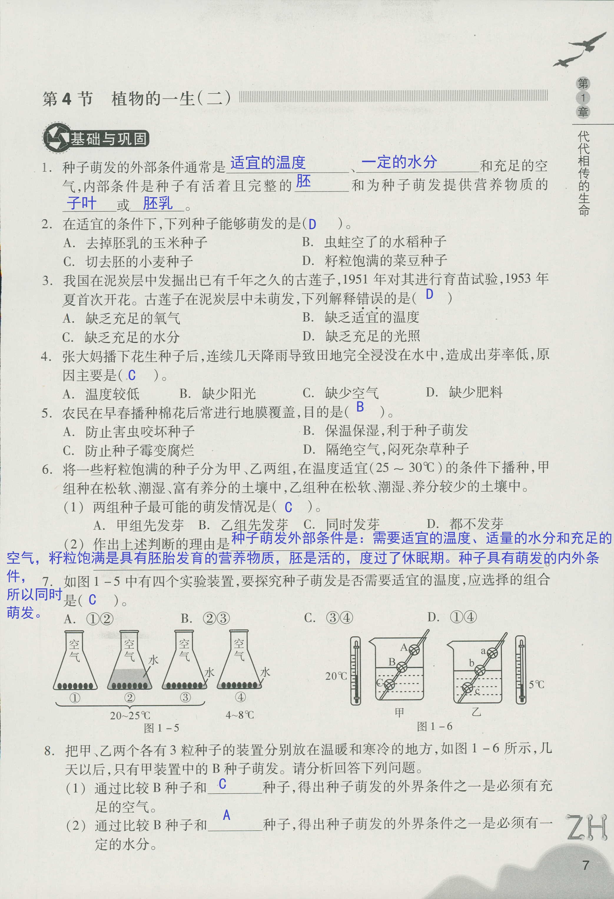 作业本B 第7页