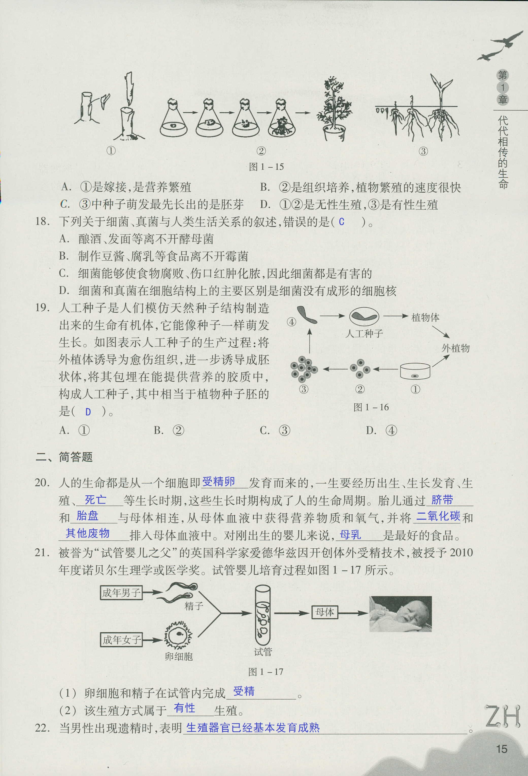 作业本B 第15页