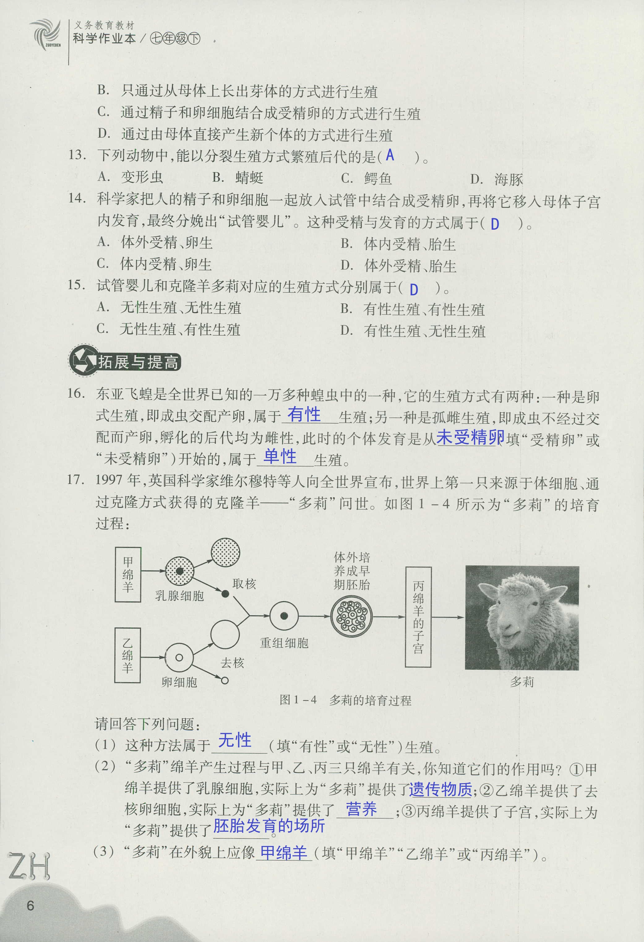 作业本B 第6页