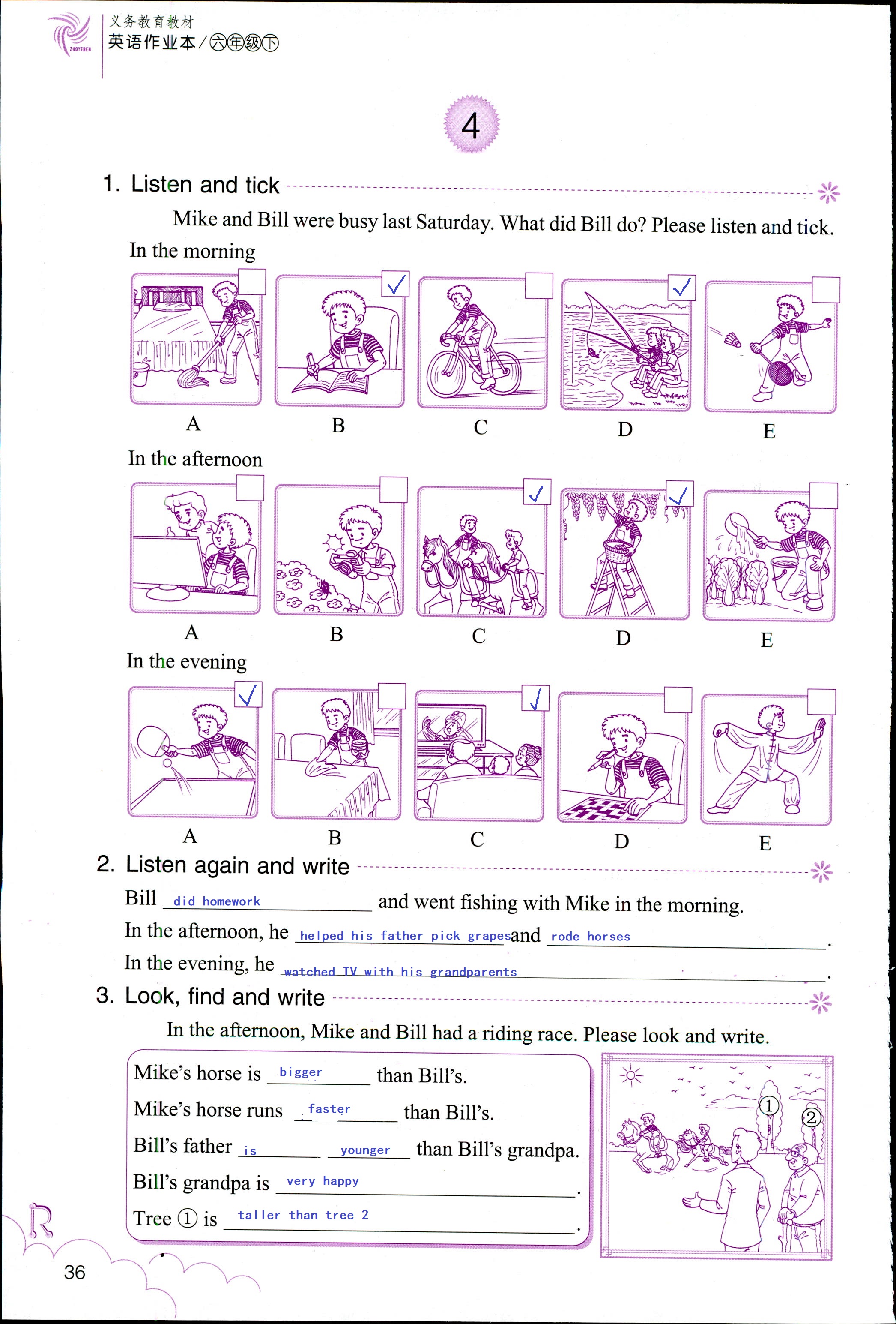 英語作業(yè)本 第36頁