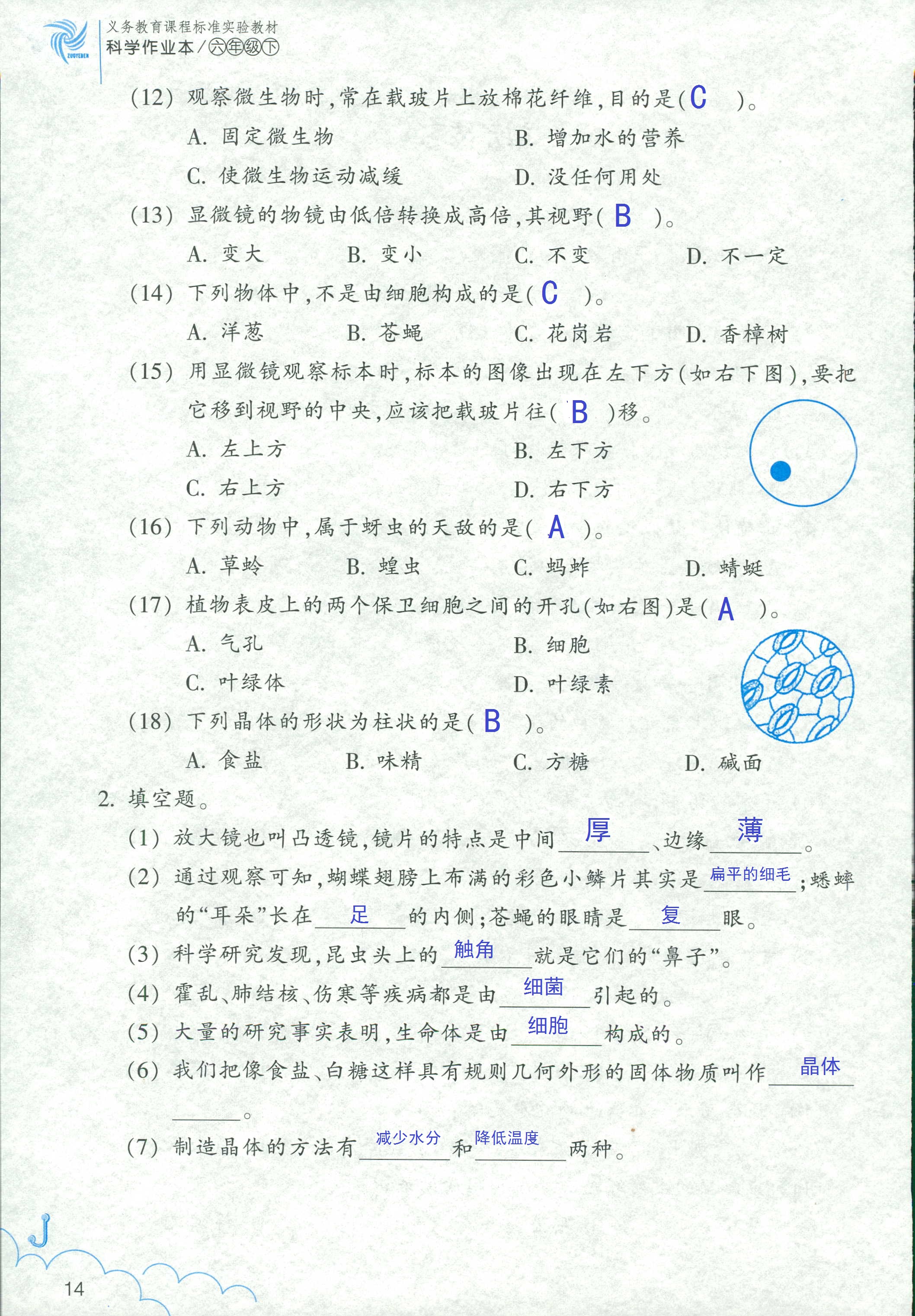 2020年作業(yè)本六年級科學(xué)下冊教科版浙江教育出版社 第14頁