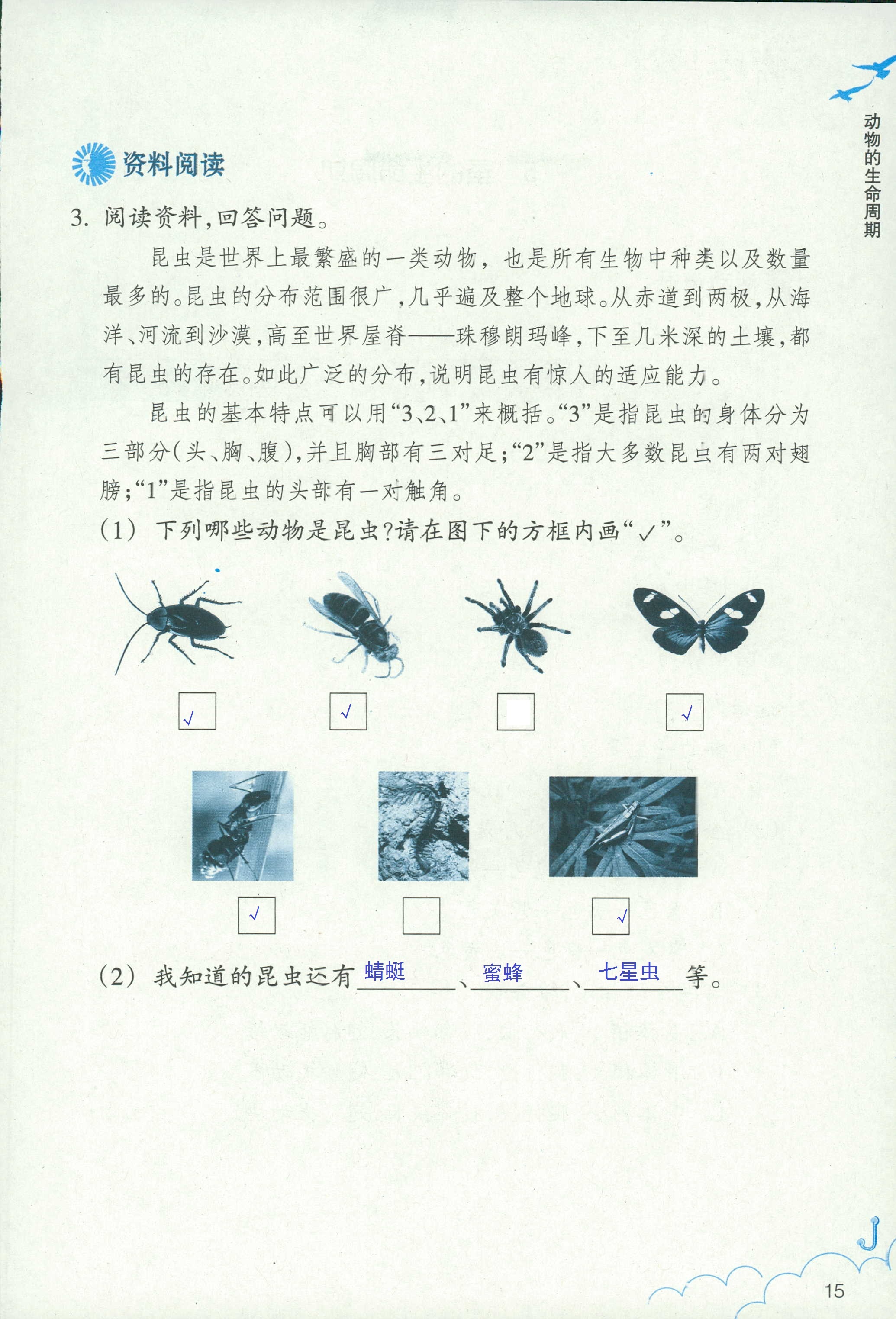 作業(yè)本 第15頁