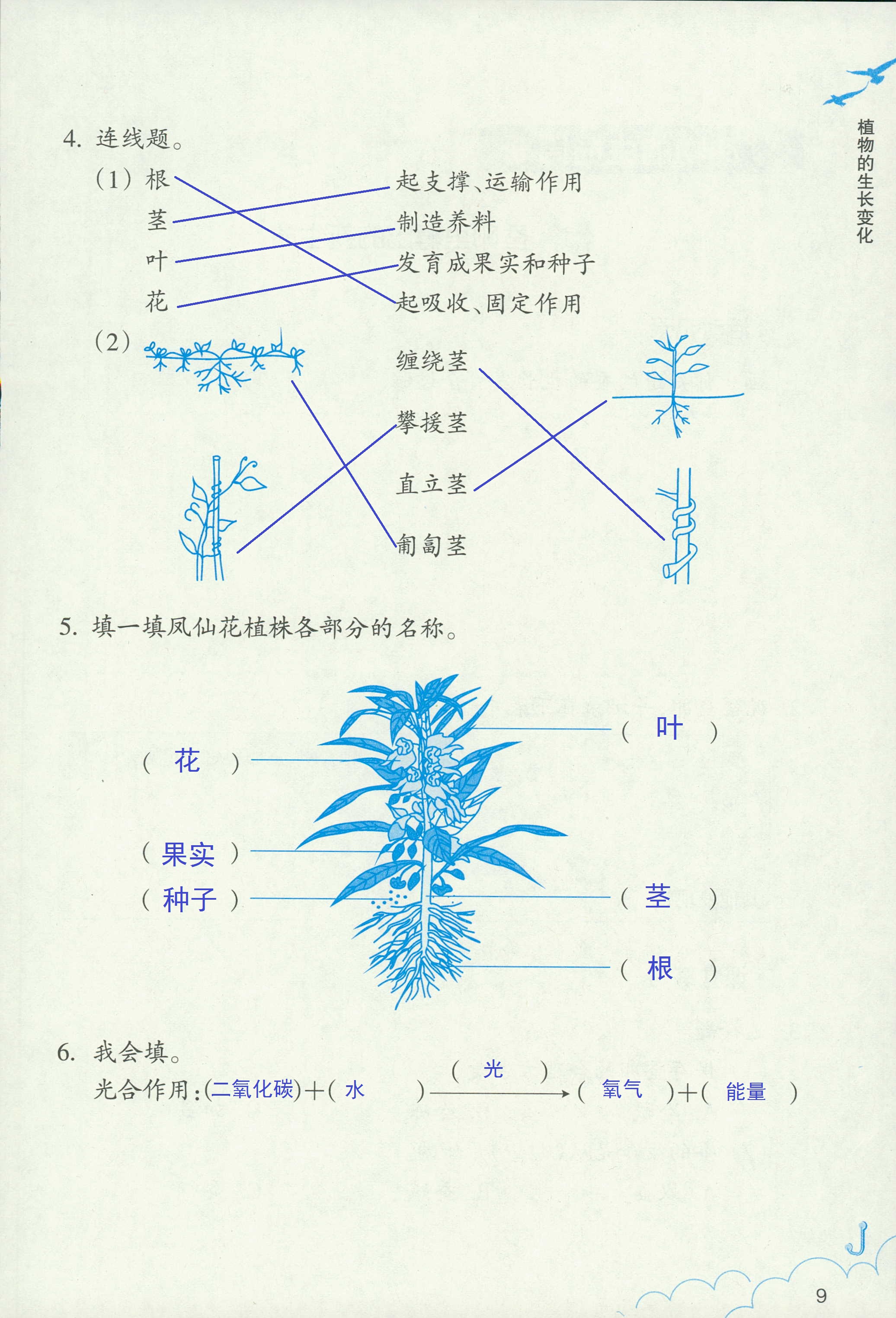 作業(yè)本 第9頁