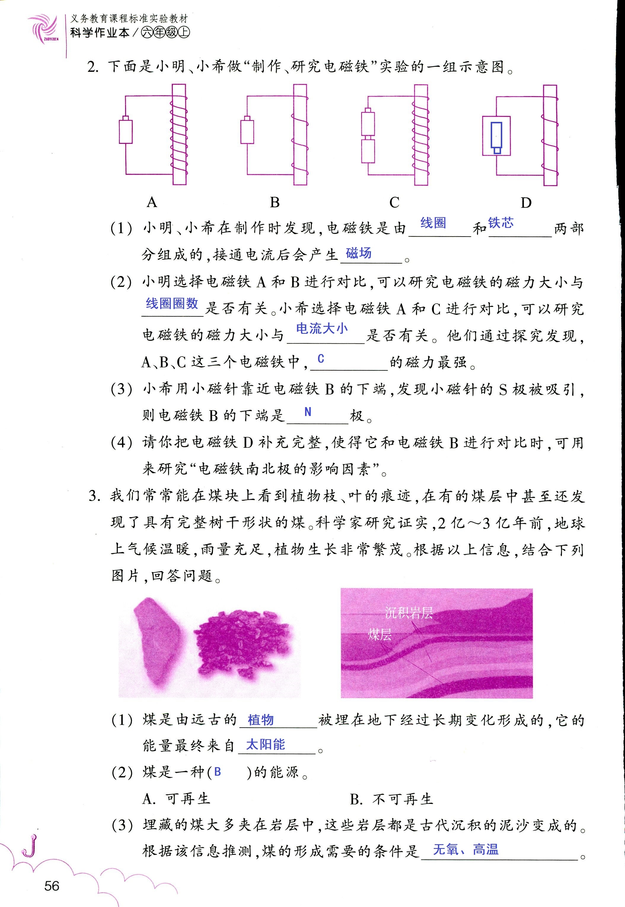 科學(xué)作業(yè)本 第56頁