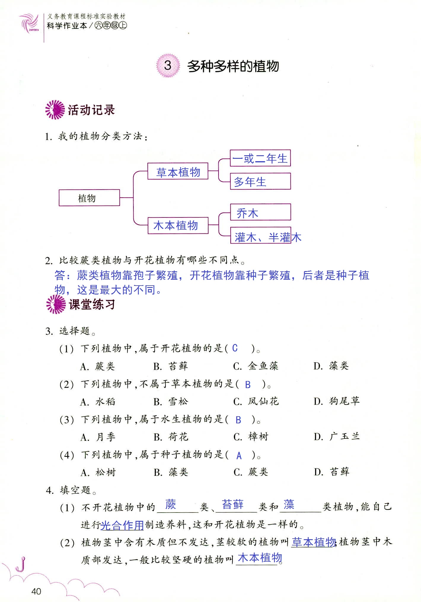 科學(xué)作業(yè)本 第40頁