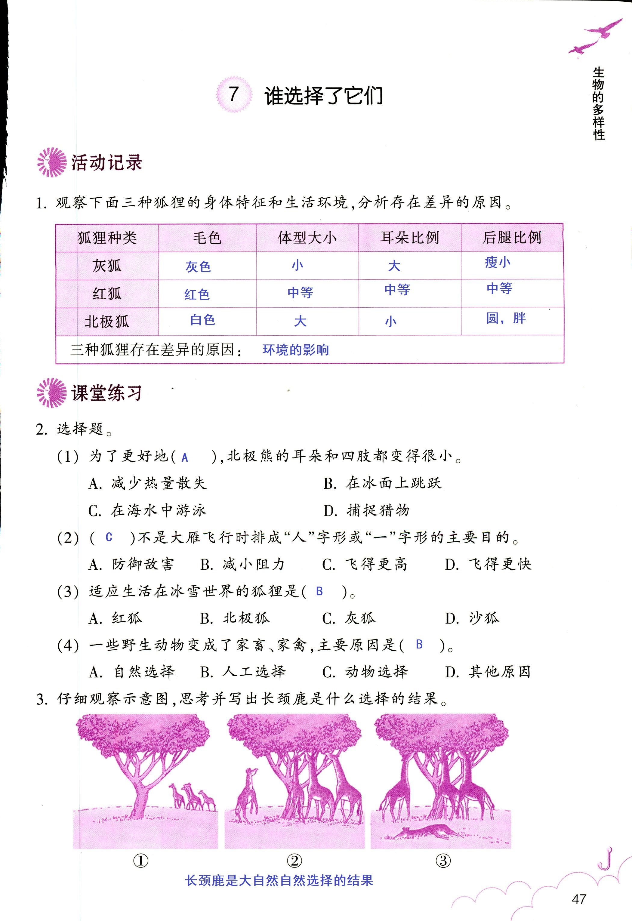 科學作業(yè)本 第47頁