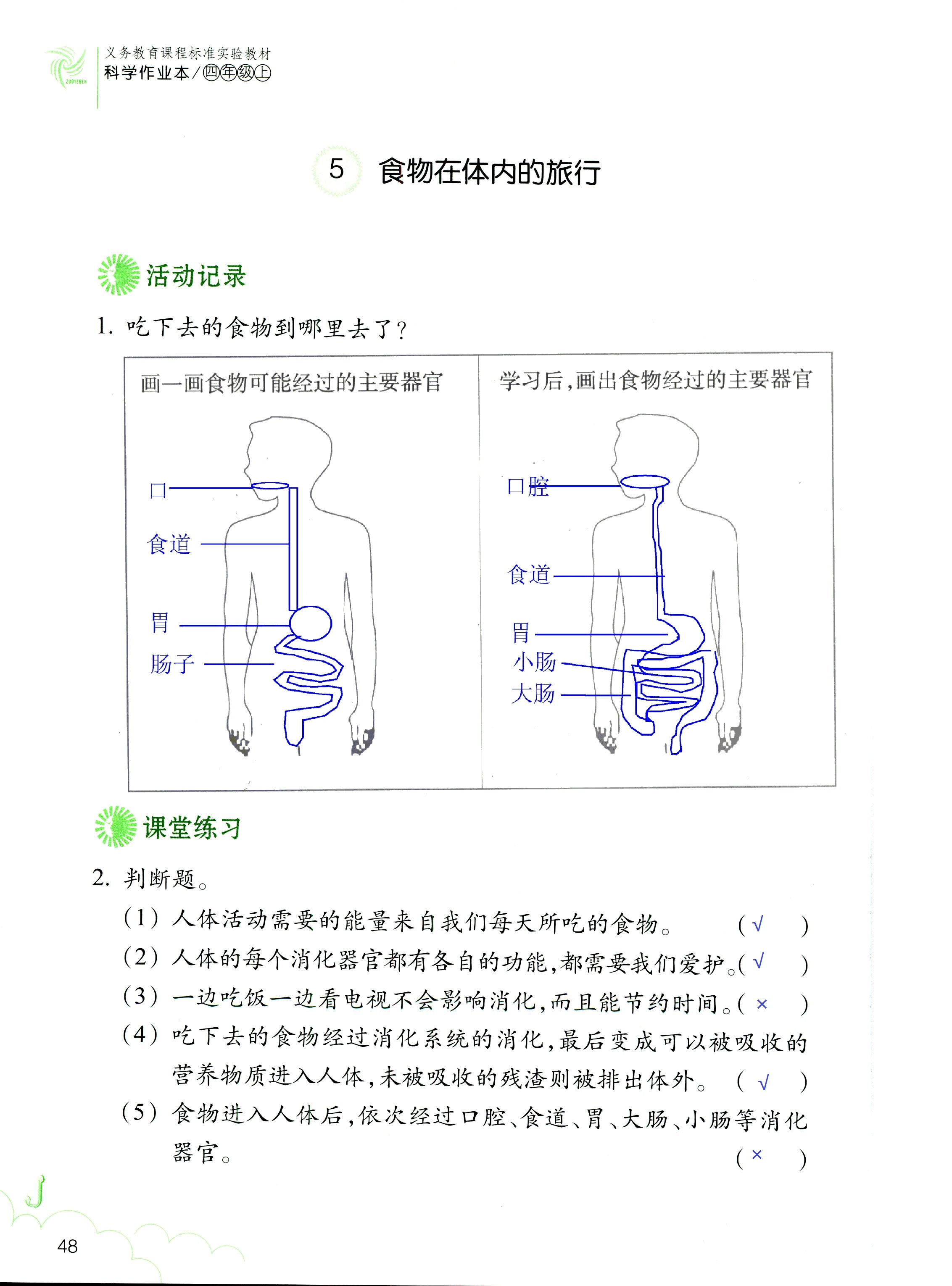 科学作业本 第48页