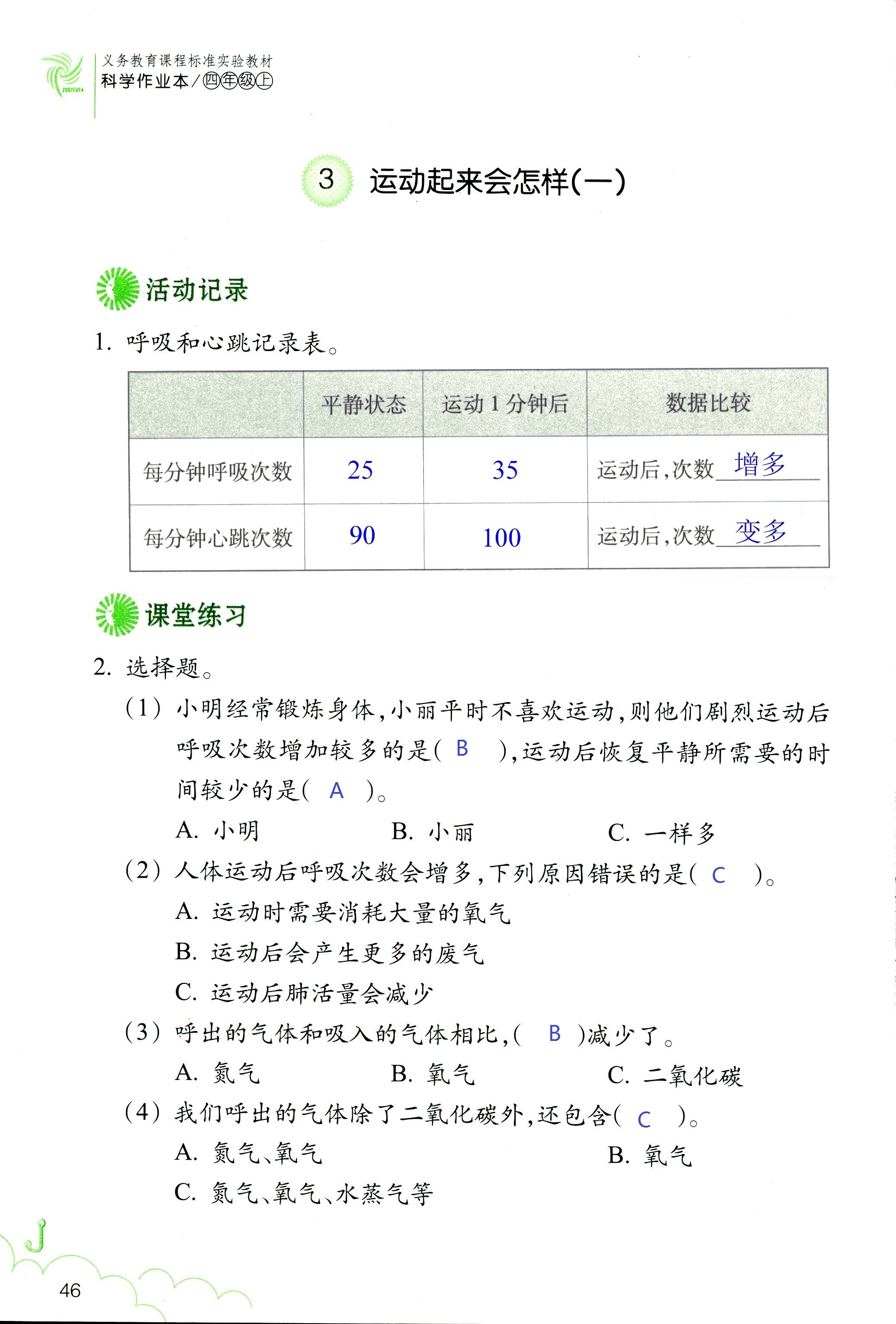 科学作业本 第46页