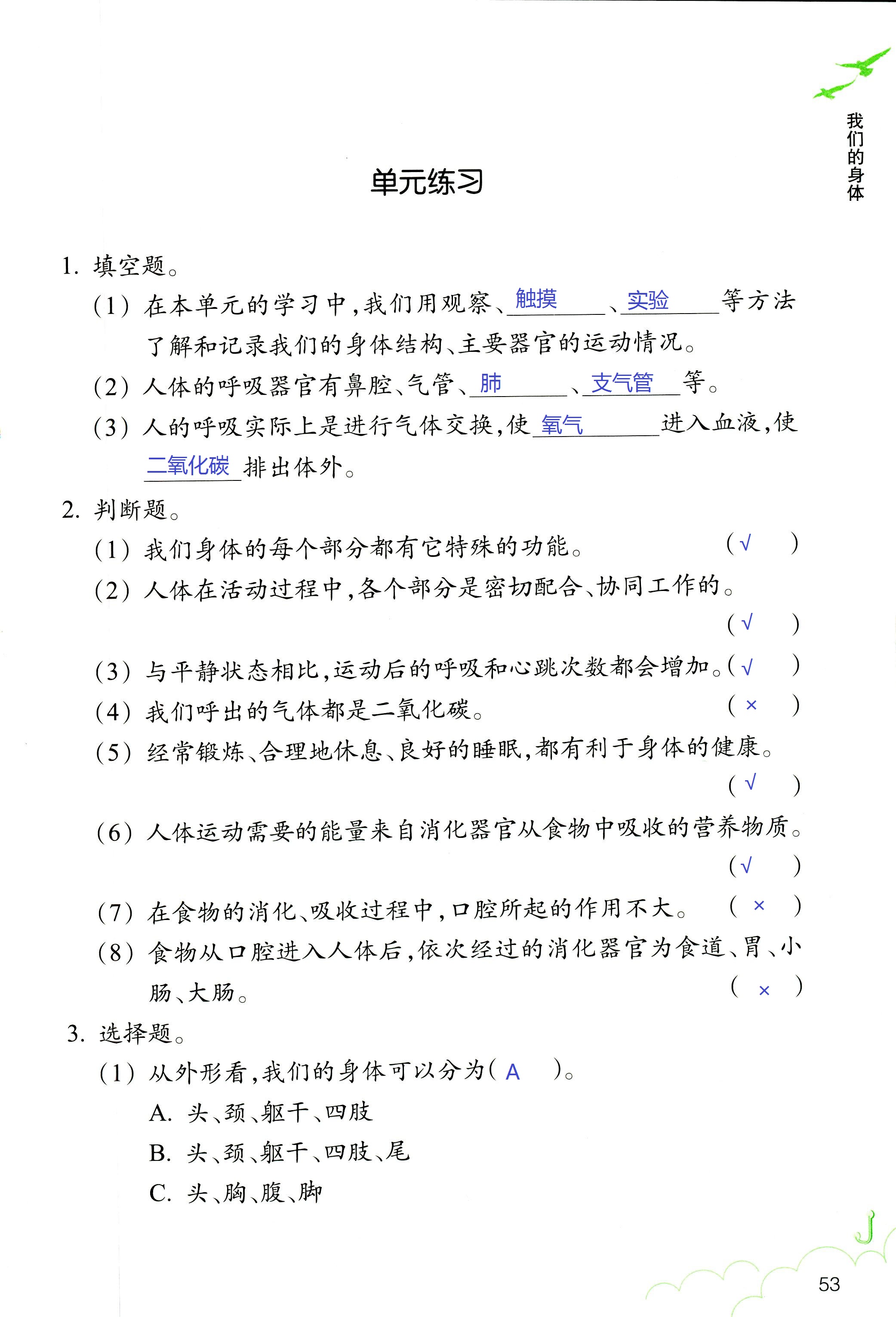 科学作业本 第53页