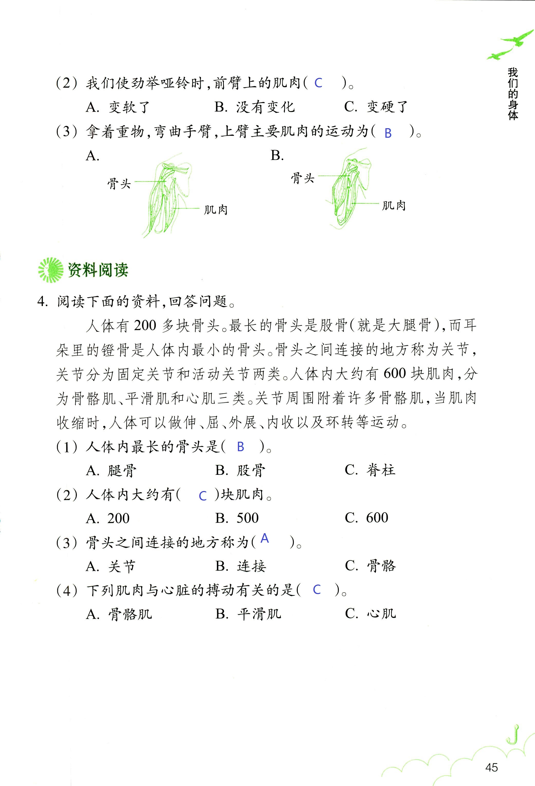 科学作业本 第45页