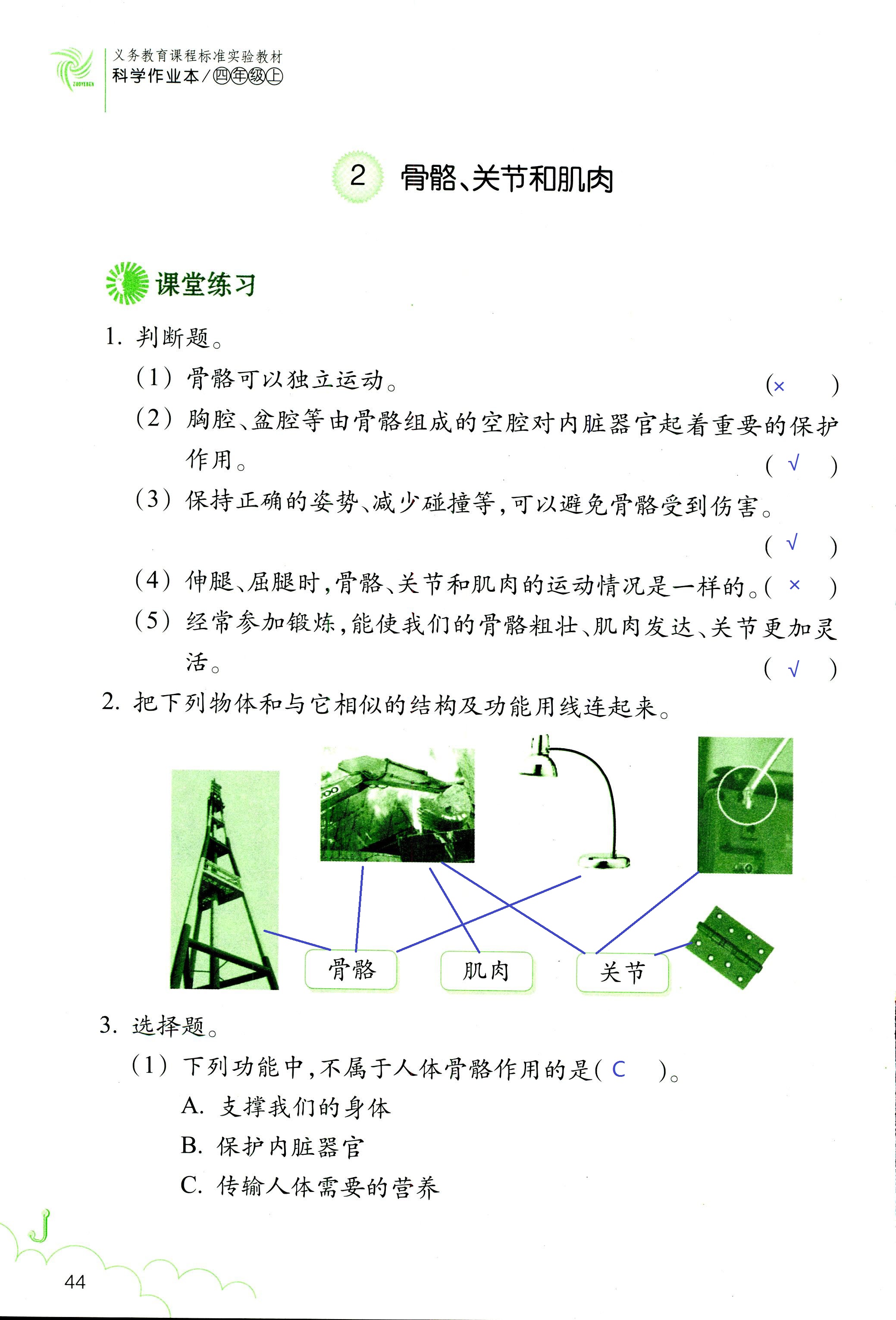 科学作业本 第44页