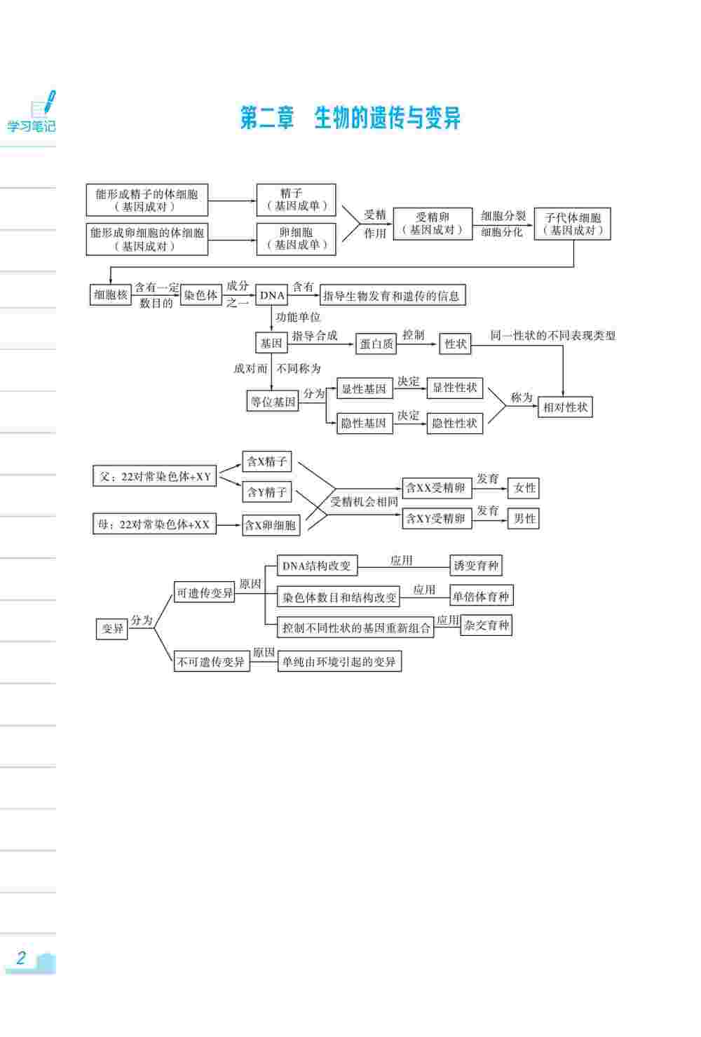 2020年新編基礎(chǔ)訓(xùn)練八年級生物下冊人教版 第2頁