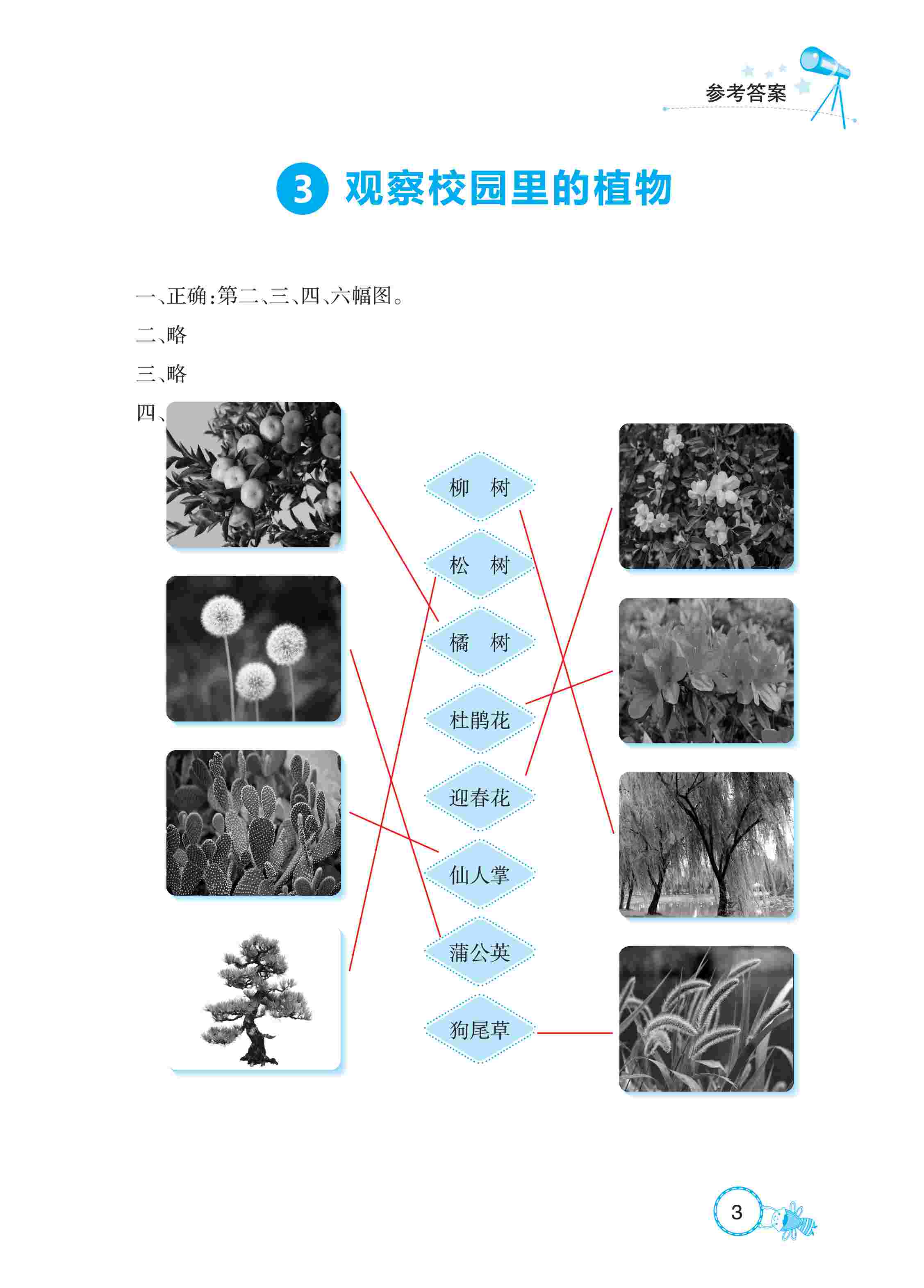 2020年長(zhǎng)江作業(yè)本同步練習(xí)冊(cè)一年級(jí)科學(xué)下冊(cè)鄂教版 第3頁(yè)