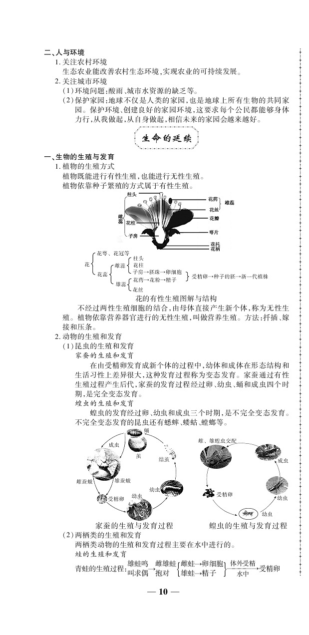 2020年追夢(mèng)之旅初中期末真題篇八年級(jí)生物下冊(cè)仁愛版河南專版 第10頁(yè)