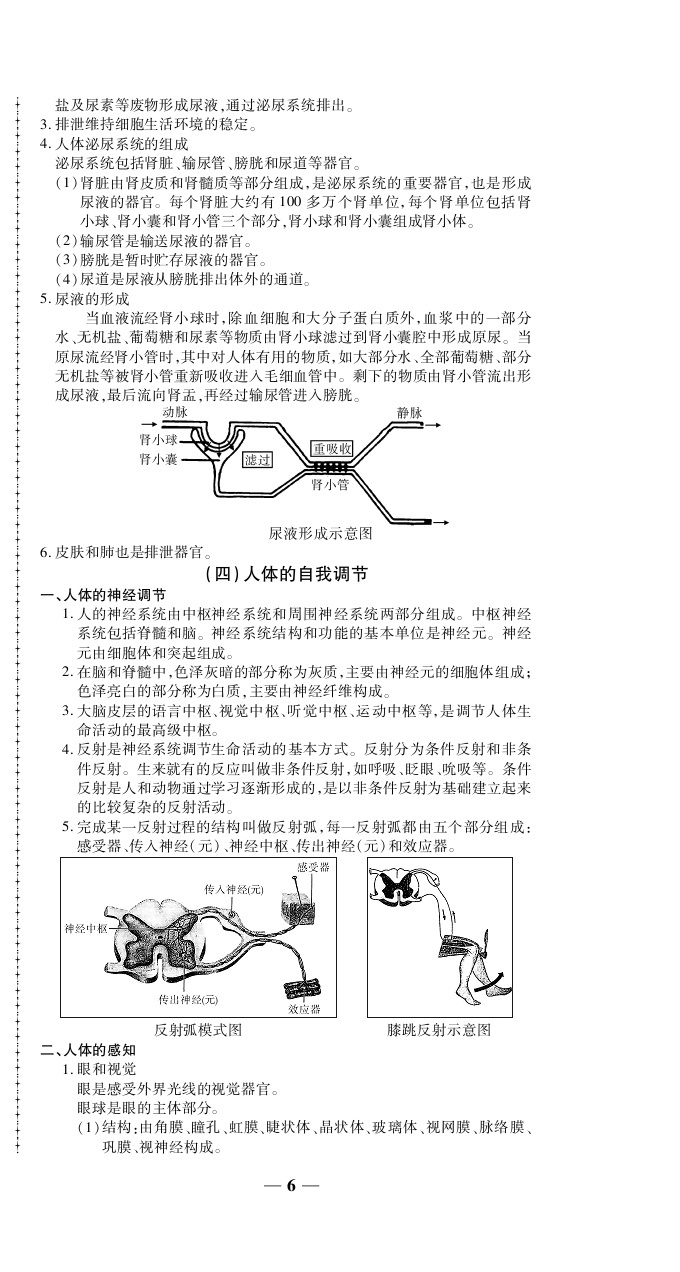 2020年追夢之旅初中期末真題篇八年級生物下冊仁愛版河南專版 第6頁