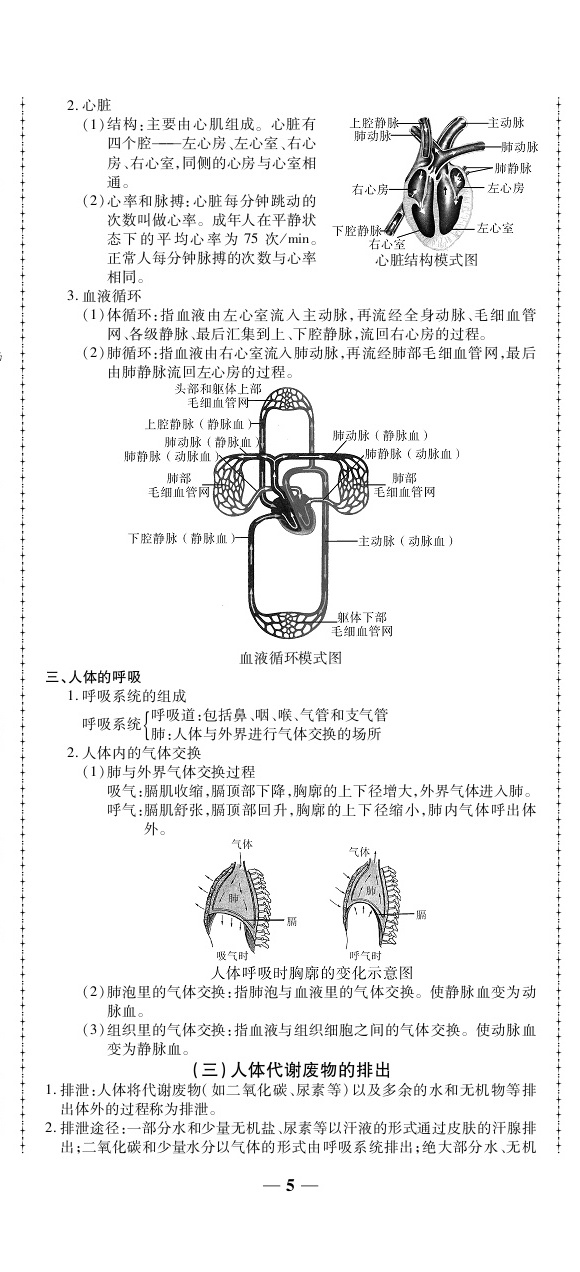 2020年追夢(mèng)之旅初中期末真題篇八年級(jí)生物下冊(cè)仁愛(ài)版河南專(zhuān)版 第5頁(yè)