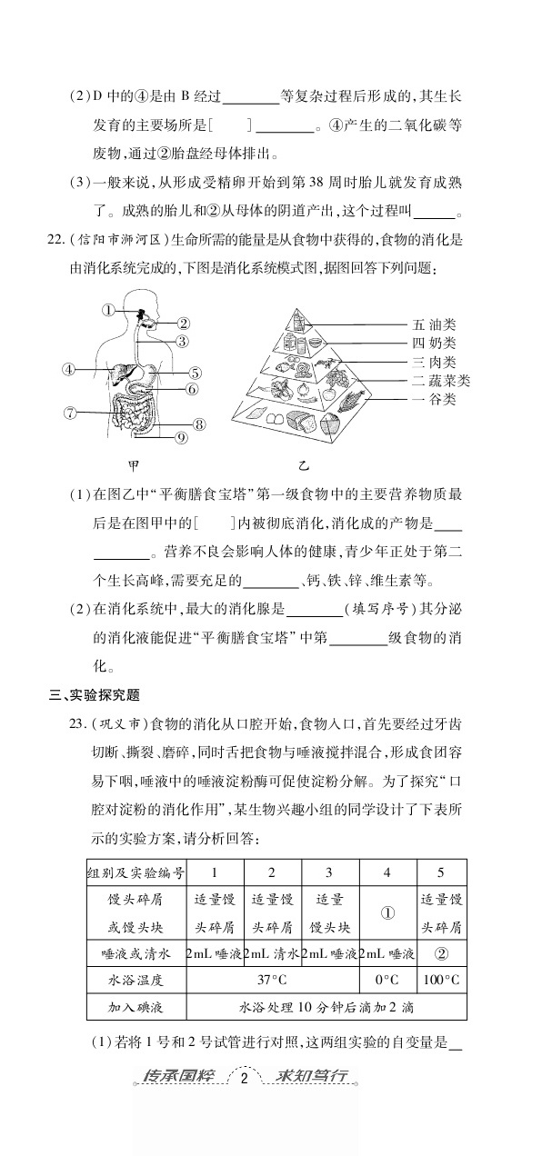 2020年追夢(mèng)之旅初中期末真題篇七年級(jí)生物下冊(cè)人教版南陽(yáng)專版 第5頁(yè)