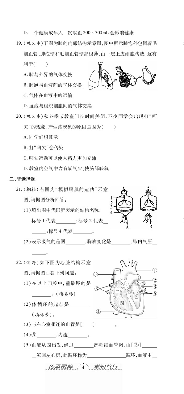 2020年追夢之旅初中期末真題篇七年級生物下冊人教版南陽專版 第11頁