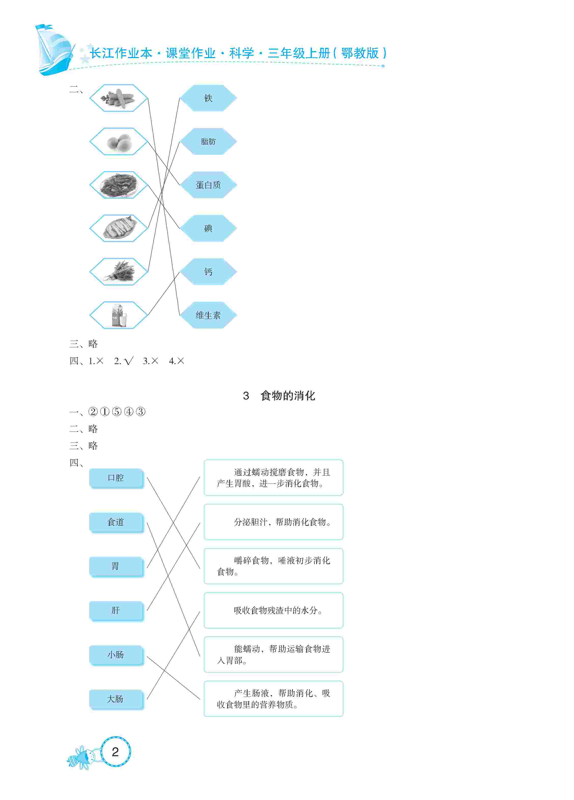 2020年長江作業(yè)本同步練習(xí)冊三年級科學(xué)上冊鄂教版 第2頁