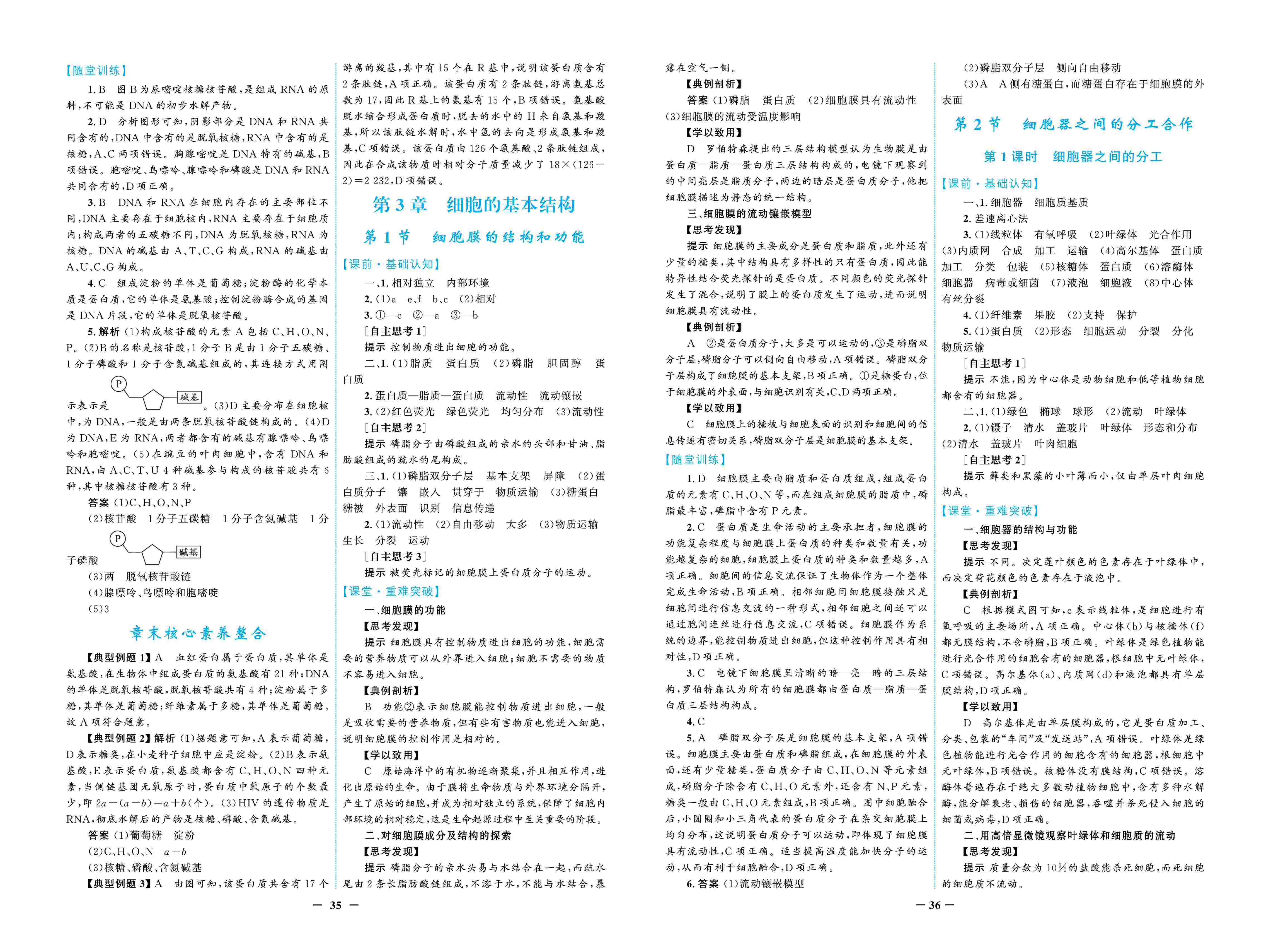 2020年南方新課堂金牌學案高中必修1生物上冊人教版 第4頁