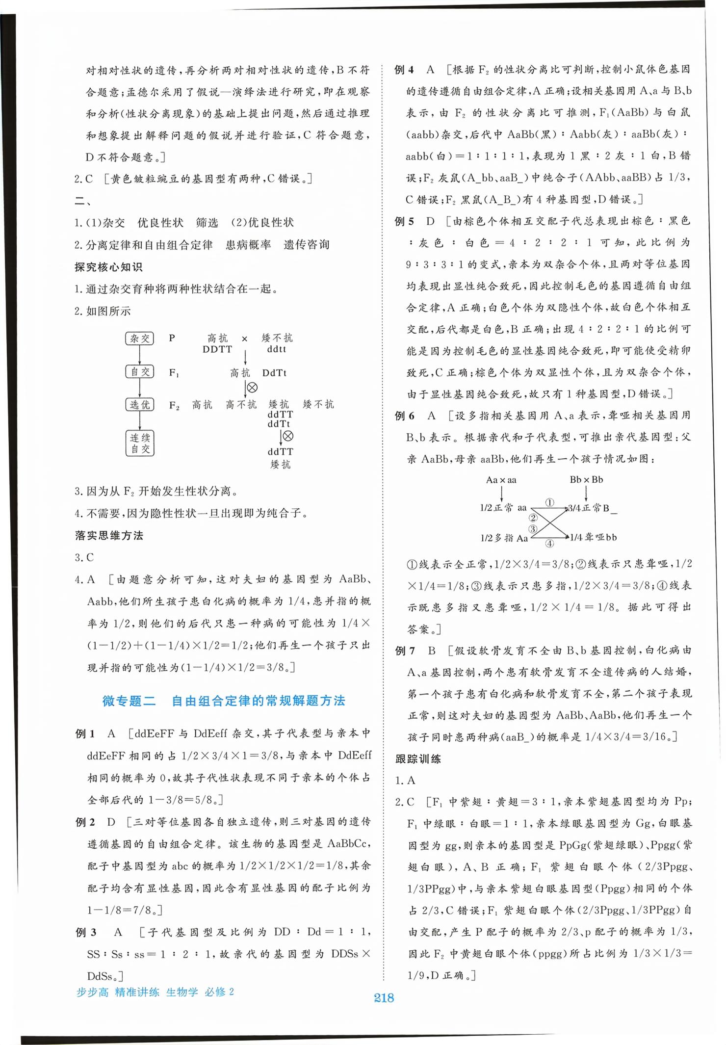 2026年步步高精准讲练高中生物必修第二册&nbsp;第5页