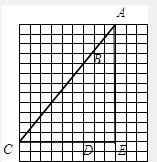 ��Ӣ�ҽ���