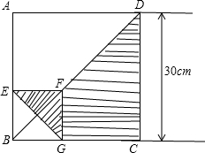 ��Ӣ�ҽ���