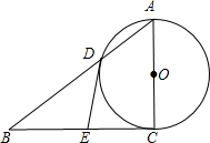 ��Ӣ�ҽ���