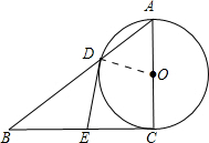 ��Ӣ�ҽ���