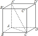 ��Ӣ�ҽ̾W(w��ng)