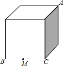 ��Ӣ�ҽ���