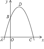 ��Ӣ�ҽ���