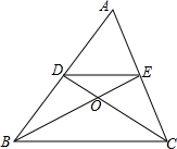 ��Ӣ�ҽ���