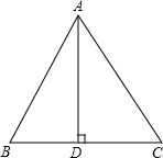 ��Ӣ�ҽ���