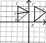 ��Ӣ�ҽ���