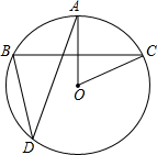 ��Ӣ�ҽ̾W(w��ng)