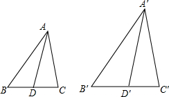 ��Ӣ�ҽ���