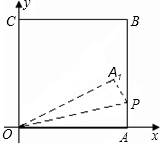 ��Ӣ�ҽ���